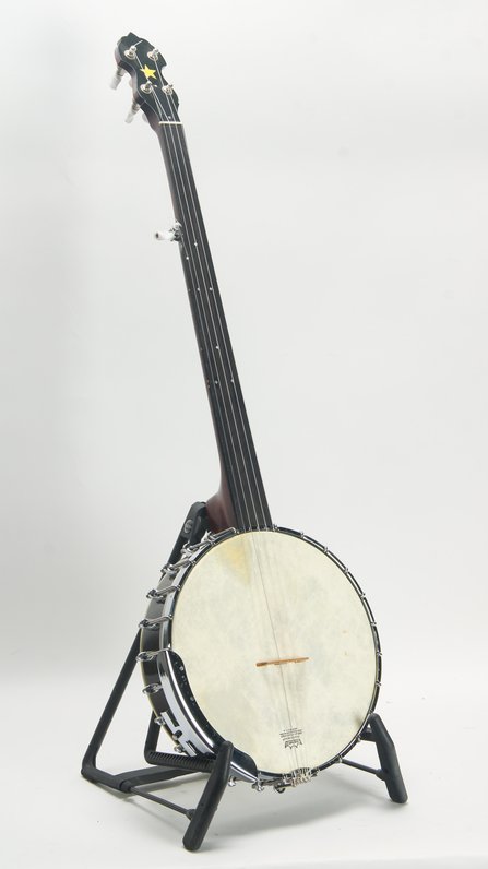 Gold Tone WL-250 Fretless #3