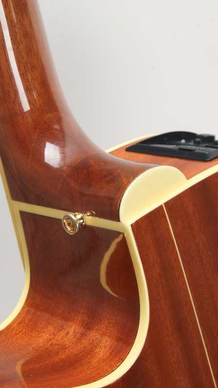 Takamine G Series #3