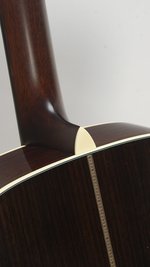 Eastman E8OM-TC (Thermo Cured Sitka/RW) (SKU: 32475) 32475