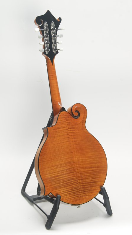 Weber Yellowstone F Style #4