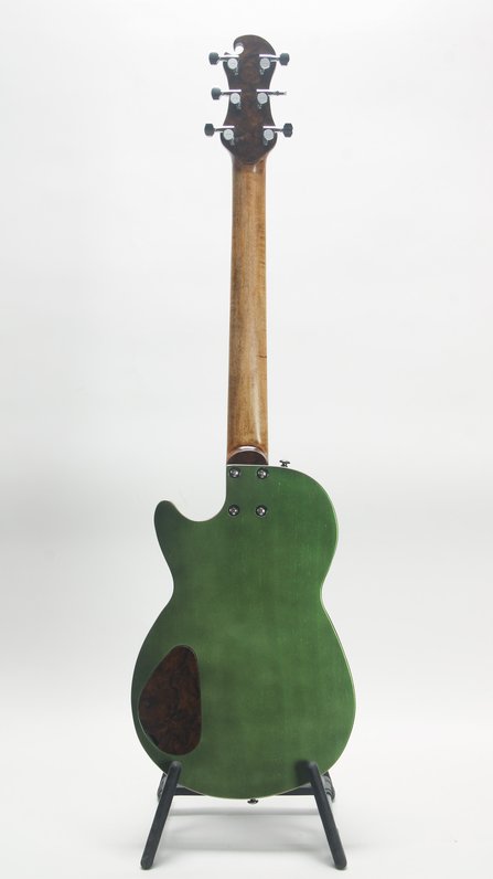 Mortillaro Custom Envy HH Chameleon #2