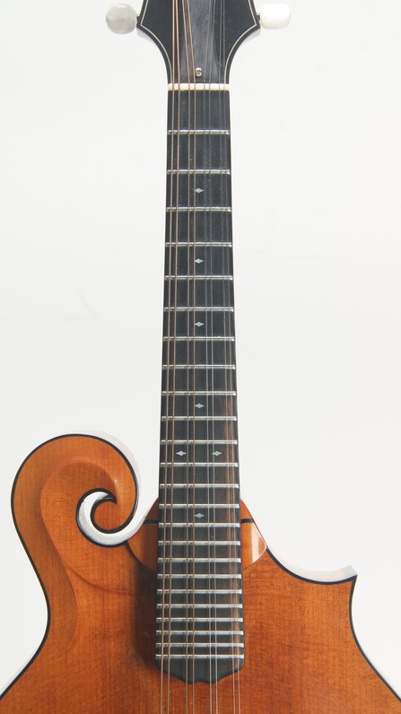 Weber Yellowstone F Style #5