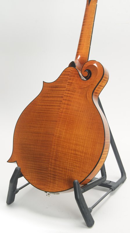 Weber Yellowstone F Style #8