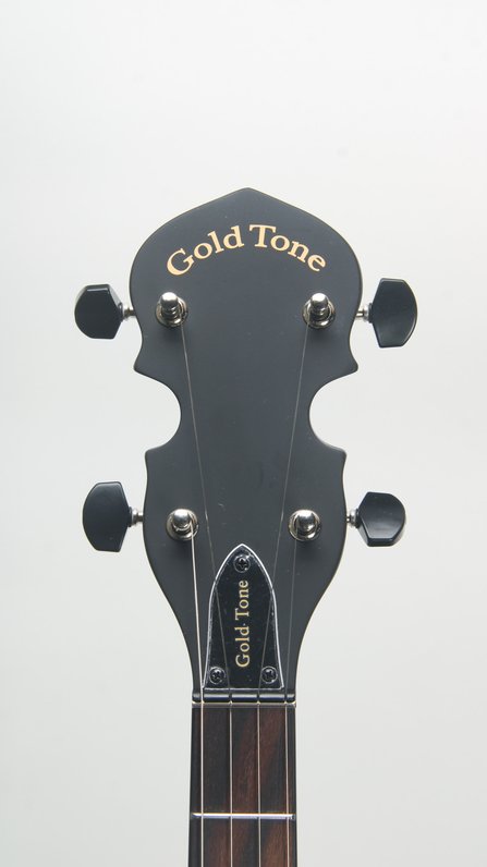 Gold Tone AC-Traveler #4