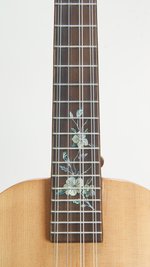 Bruce Wei Baritone 8 String (SKU: 32583) 32583