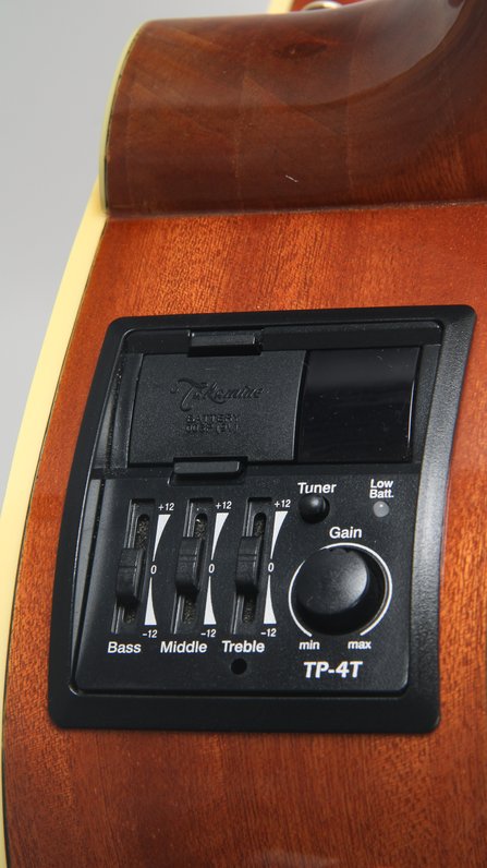 Takamine G Series #4