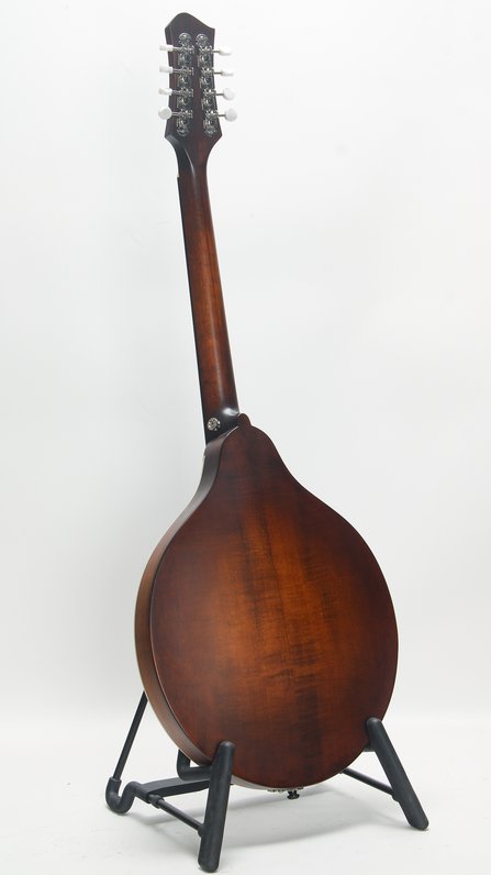 Eastman MDO305 #4