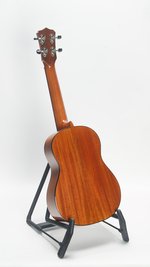 Cordoba 30T Tenor Ukulele (SKU: 32081) 32081