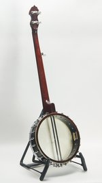 Gold Tone WL-250 Fretless (SKU: 32441) 32441