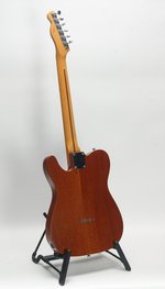 Fender Thinline Telecaster MIM Neck (ca.2020) (SKU: 32457) 32457