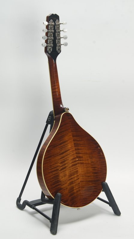 Weber Yellowstone A Mandolin (2012) #4