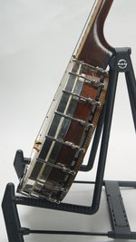 Washburn Style 445 (SKU: 29647) 29647