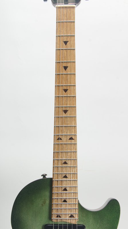 Mortillaro Custom Envy HH Chameleon #6