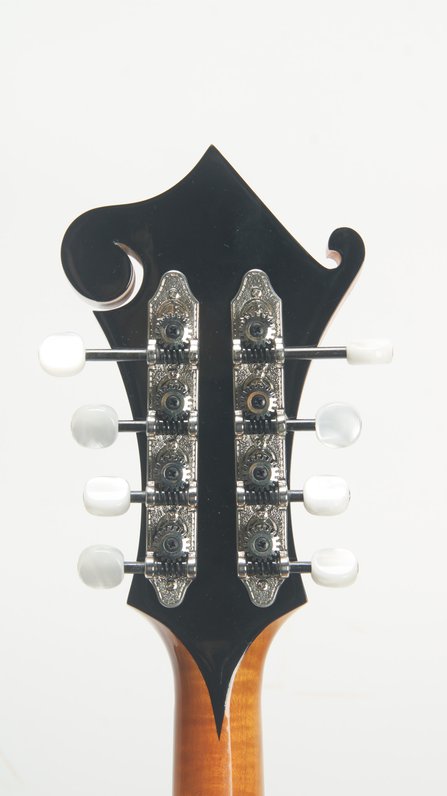 Weber Yellowstone F Style #10