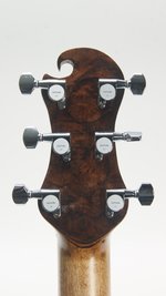 Mortillaro Custom Envy HH Chameleon (SKU: 32274) 32274