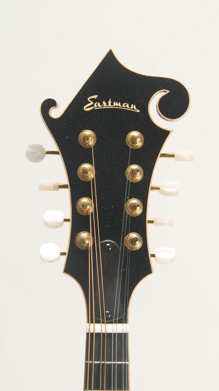 Eastman MD-915 (used) #7