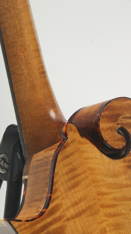 RAG Custom F Style Mandolin #70 (2022) #5