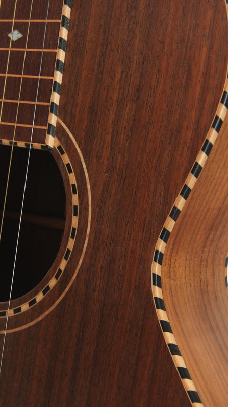 Lazy River Guitars Baritone Weissenborn #185 (2013) #8