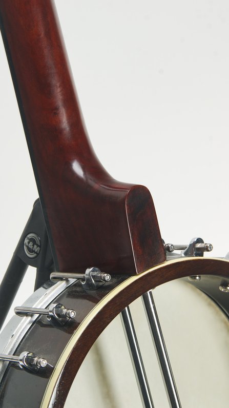 Gold Tone WL-250 Fretless #5