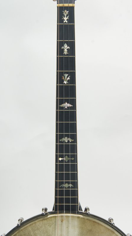 Washburn Style 445 #5
