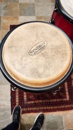 Toca Synergy Congas *USED* (SKU: 31467) 31467