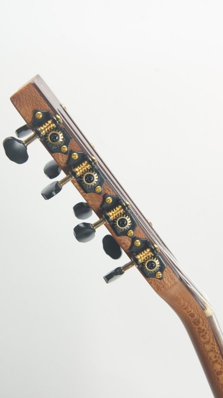 Bruce Wei Baritone 8 String #5
