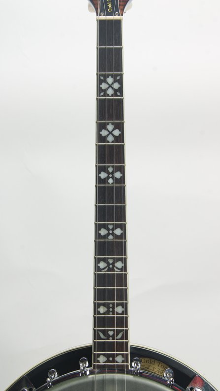 Gold Tone Custom Tenor Resonator (2021) #5