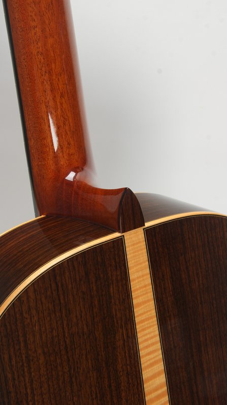 Cordoba C12 SP/RW #5