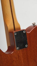 Fender Thinline Telecaster MIM Neck (ca.2020) (SKU: 32457) 32457