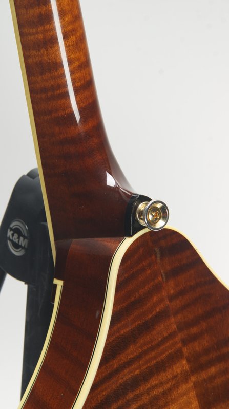 Weber Yellowstone A Mandolin (2012) #5