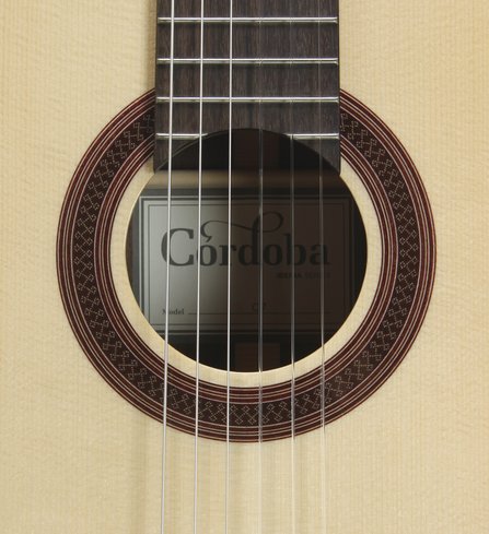 Cordoba C7 Spruce  #5