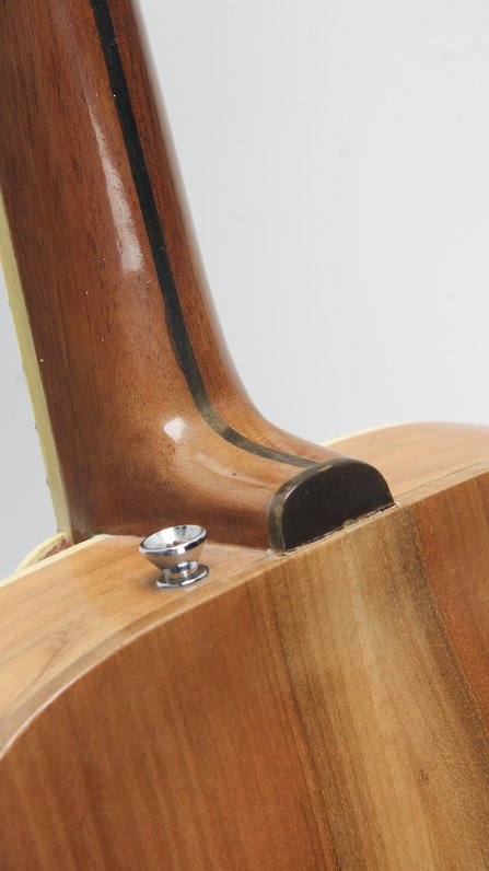 Hume H-5 Mandola (2008) #5