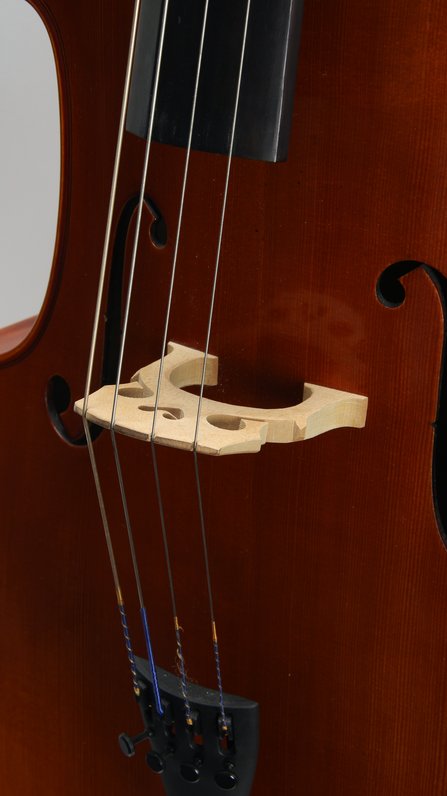 Eastman Otto Benjamin MC100 Cello *Used #5