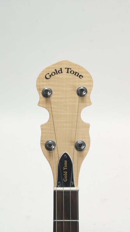Gold Tone CC100R *Used* #5