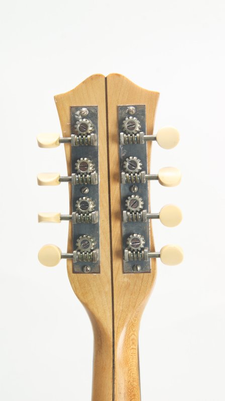 Bacon Peerless Banjo Mandolin (ca. 1922) #5