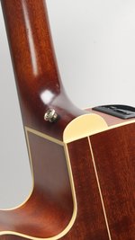 Takamine EAN40C (SKU: 31565) 31565