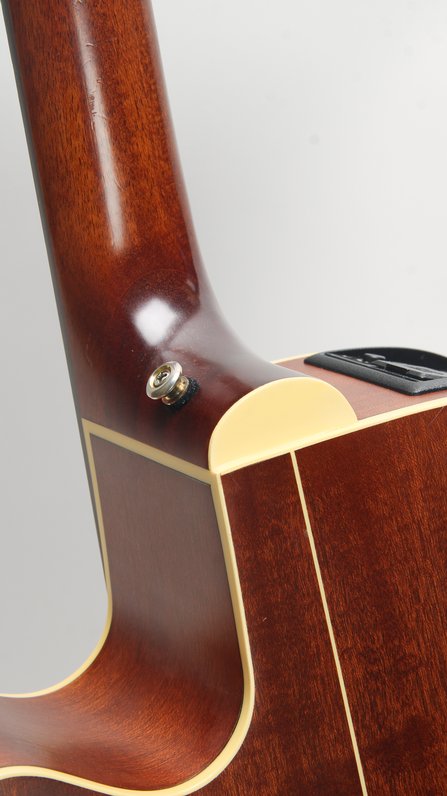 Takamine EAN40C #5