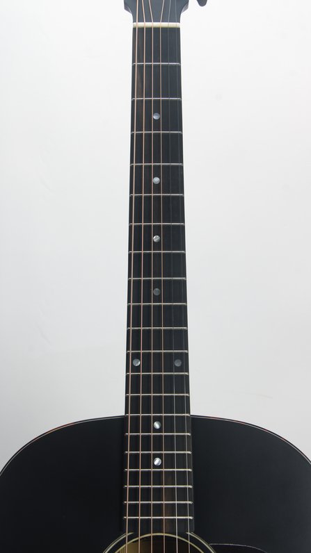 Eastman E1SS-SB #5
