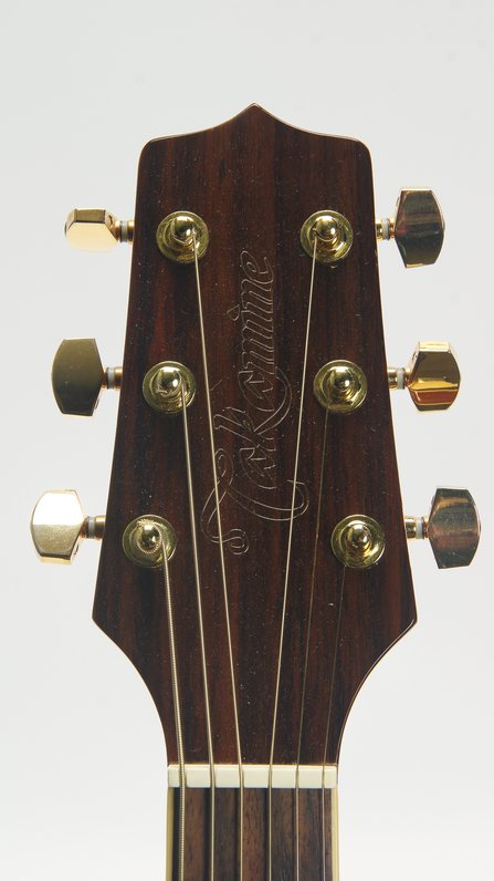 Takamine G Series #5