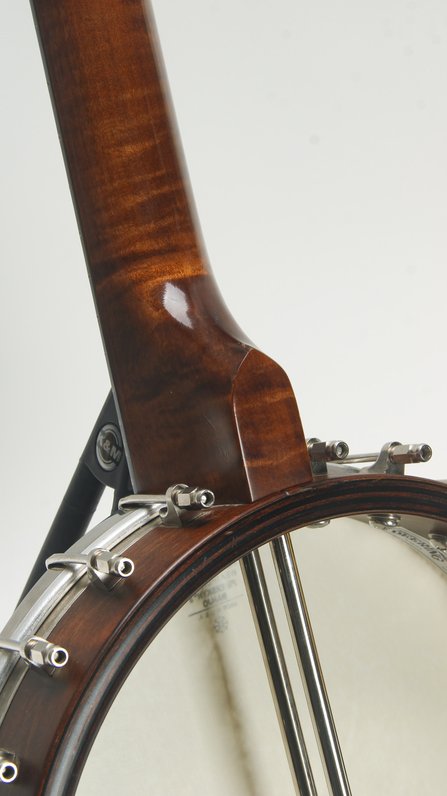 Deering Vega Senator (ca. 2006) #5