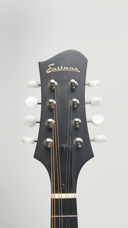 Eastman MD-305 *USED (w. K&K) #5