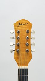 Johnson Resonator Mandolin (SKU: 32770) 32770