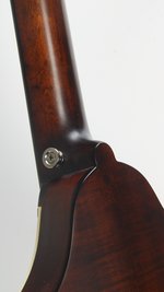 Eastman MDO305 (SKU: 31619) 31619