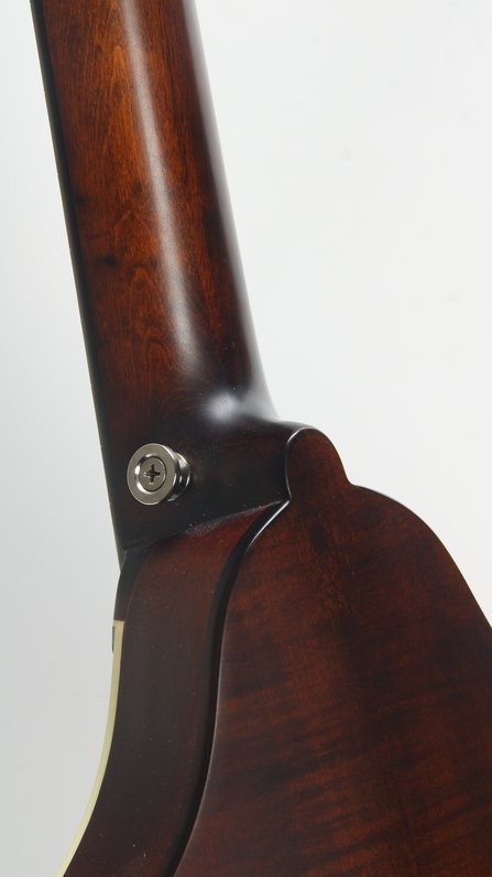 Eastman MDO305 #5