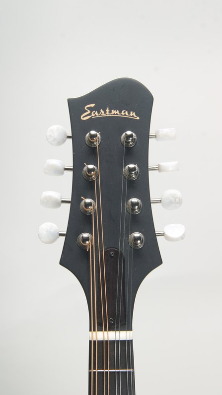 Eastman MD304 (used) #5