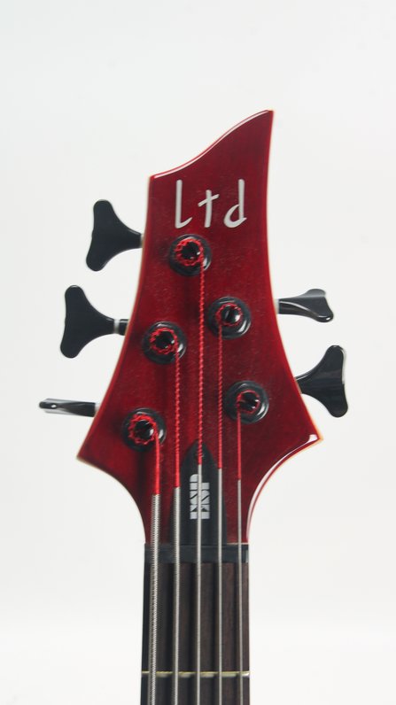 LTD ESP B-205 #5
