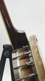 Bacon & Day Senorita (SKU: 31498) 31498