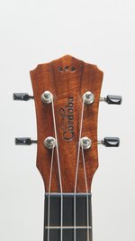 Cordoba 35T Tenor (SKU: 32126) 32126