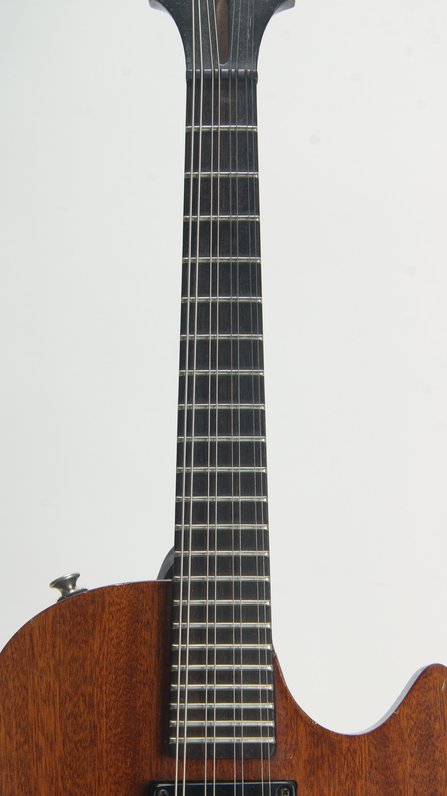 Ben Pearce "Outlier" Custom Electric Mandolin #6