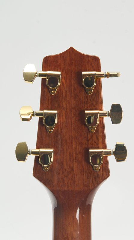 Takamine G Series #6